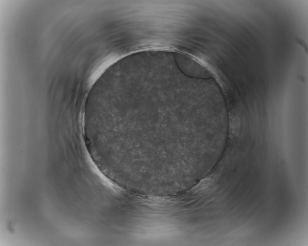 X0000102381383200808221752