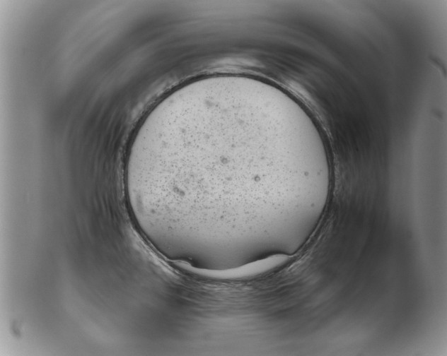 X0000102381384200808221752