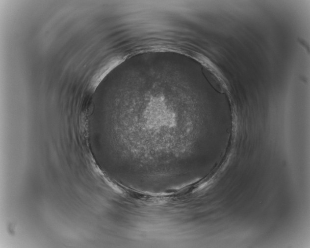 X0000102381385200808221752