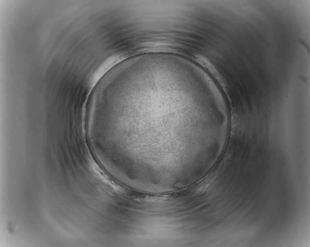 X0000102381386200808221752