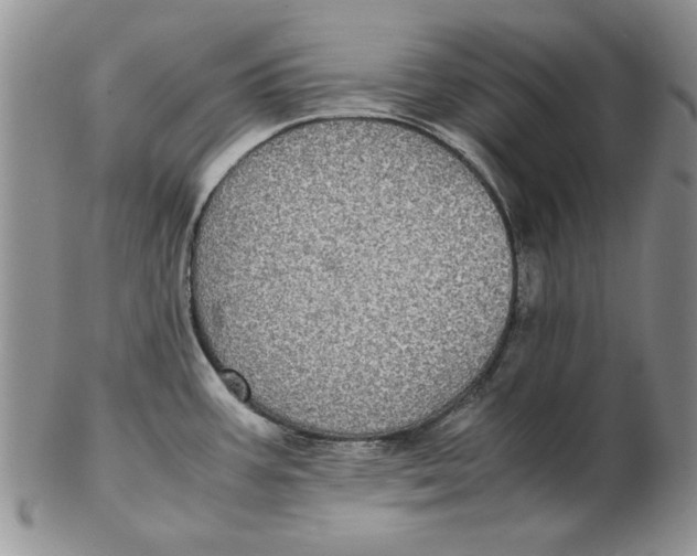 X0000102381387200808221752