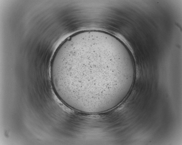 X0000102381388200808221752