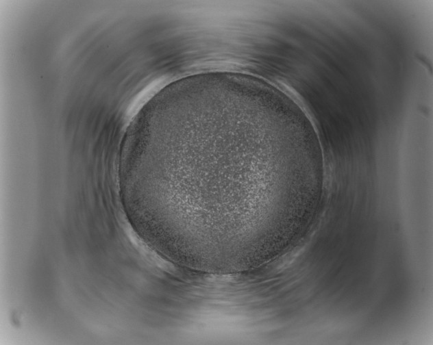 X0000102381389200808221752