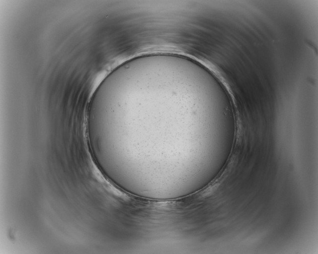 X0000102381390200808221752