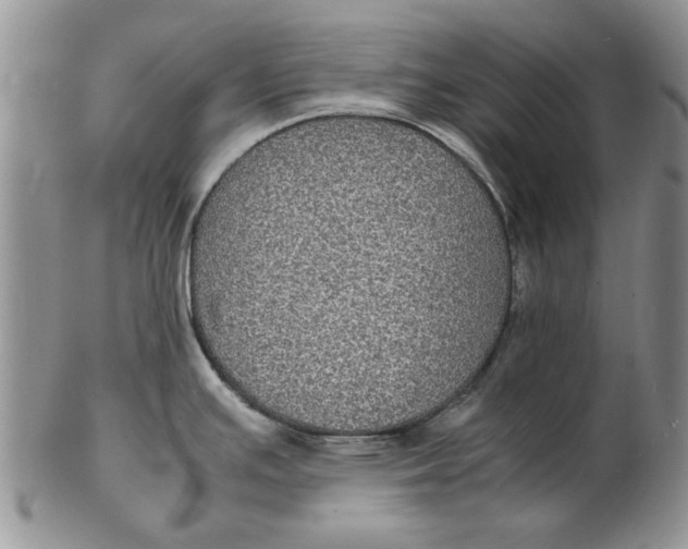 X0000102381391200808221752