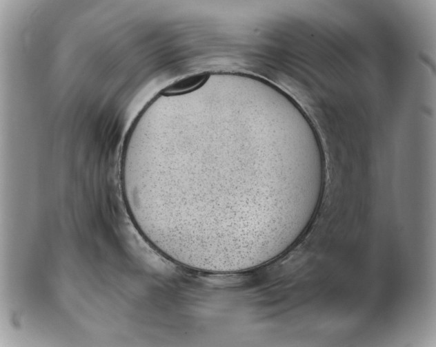 X0000102381392200808221752