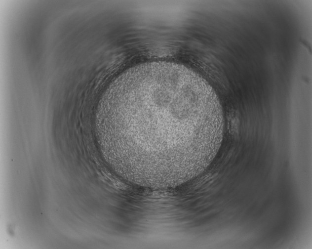 X0000102381393200808221751