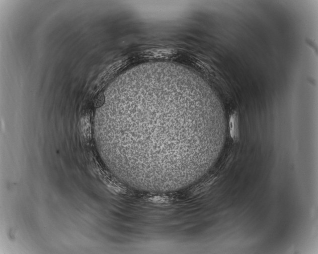 X0000102381395200808221751