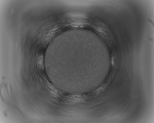 X0000102381396200808221751