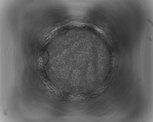 X0000102381397200808221751