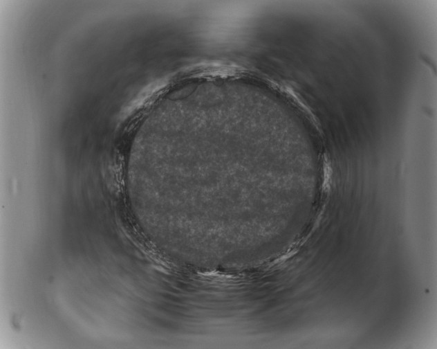 X0000102381399200808221752