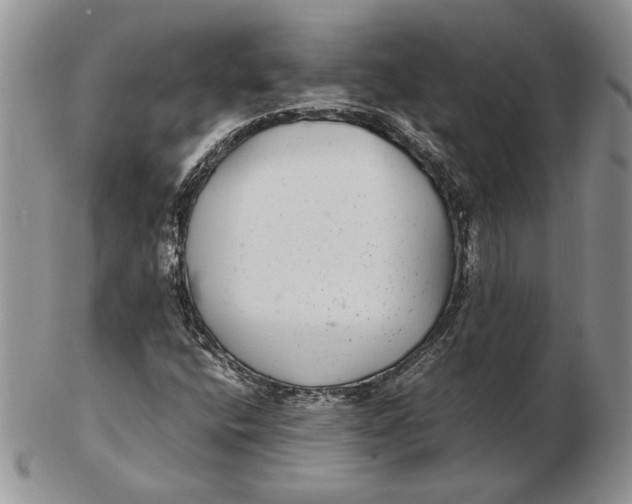 X0000102381400200808221752