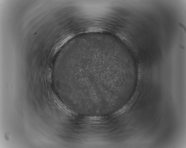 X0000102381401200808221752