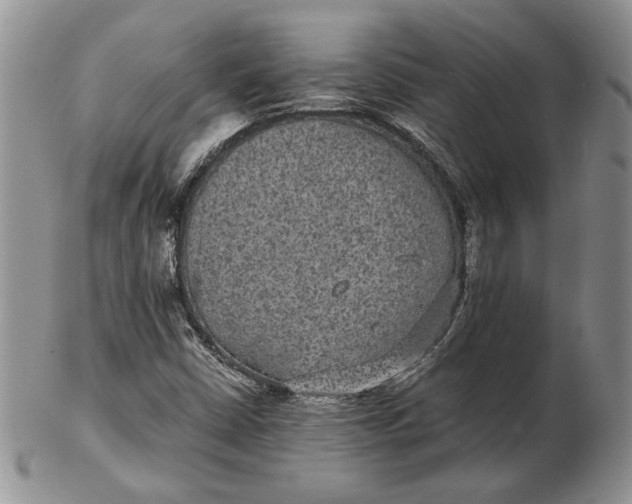 X0000102381402200808221752