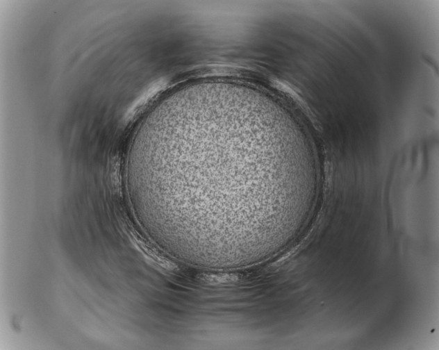 X0000102381403200808221752