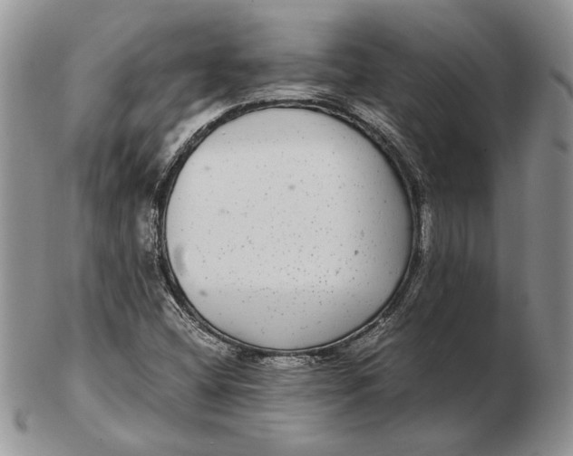 X0000102381404200808221752