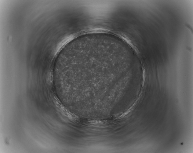 X0000102381405200808221752