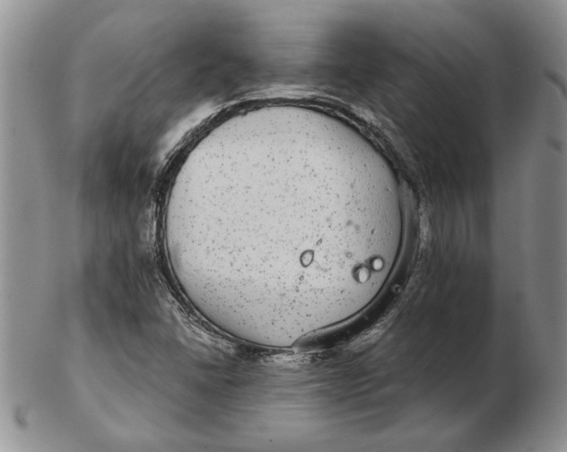 X0000102381406200808221752