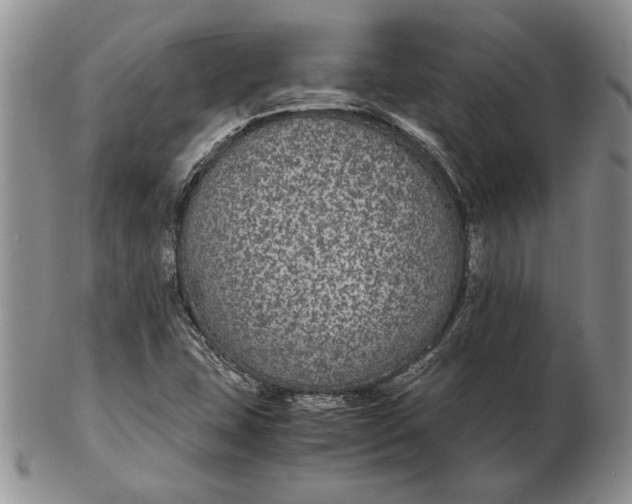 X0000102381407200808221752