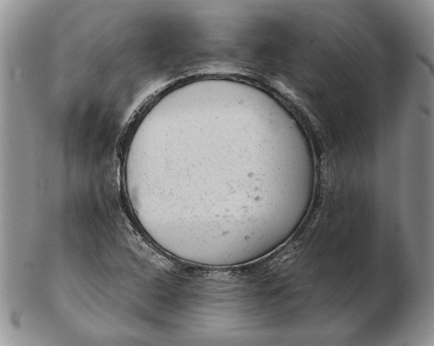 X0000102381408200808221752