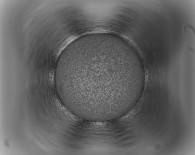 X0000102381409200808221752