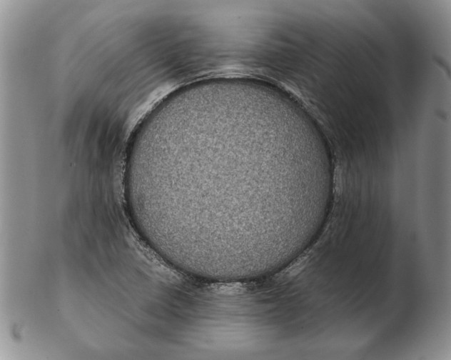 X0000102381410200808221752