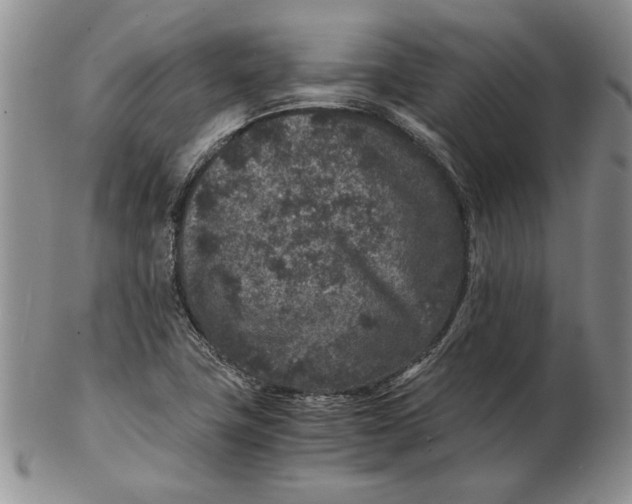 X0000102381411200808221752