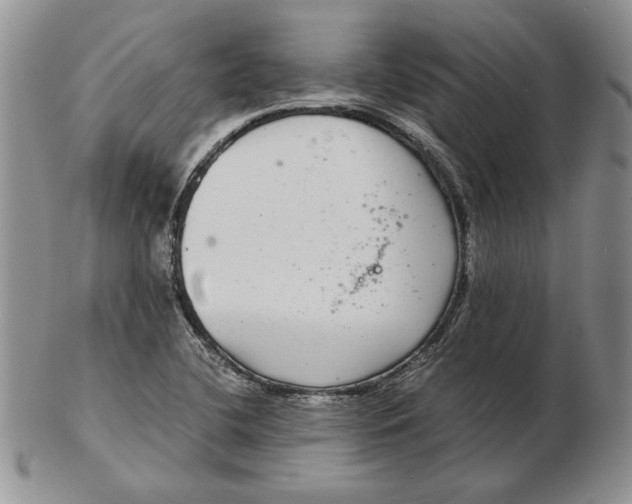 X0000102381412200808221752