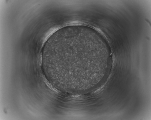 X0000102381413200808221752