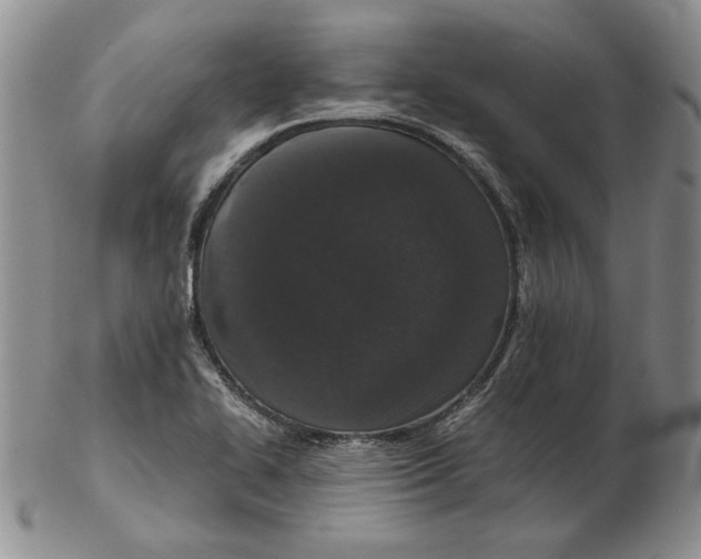 X0000102381414200808221752