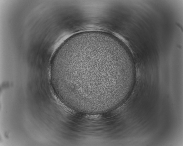 X0000102381415200808221752