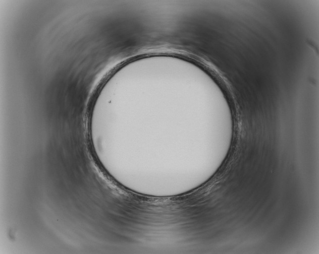 X0000102381416200808221752