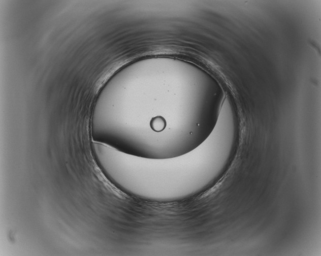 X0000102381417200808221752