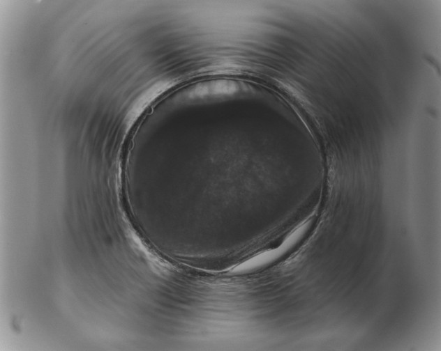 X0000102381418200808221752