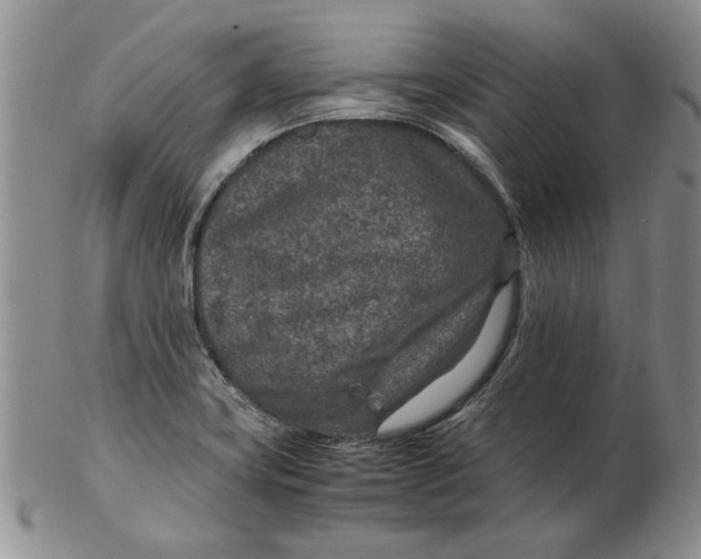 X0000102381419200808221752