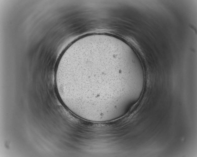 X0000102381420200808221752