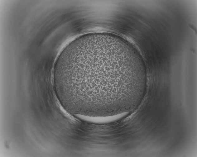 X0000102381421200808221752