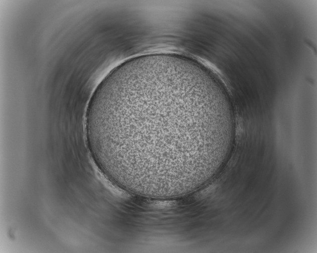 X0000102381423200808221752