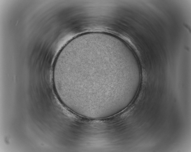 X0000102381424200808221752