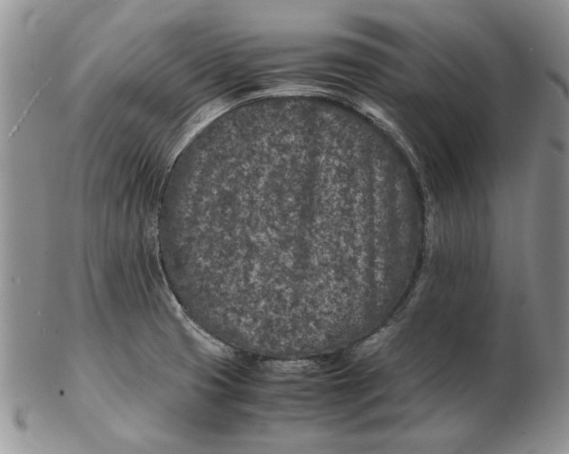 X0000102381425200808221752