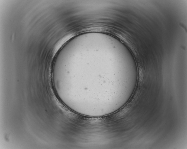 X0000102381426200808221752