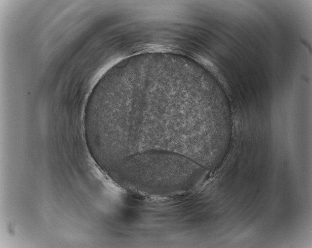 X0000102381427200808221752