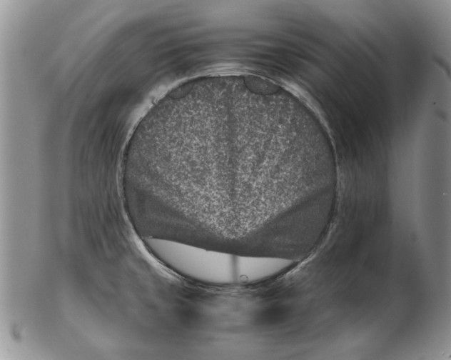 X0000102381429200808221752