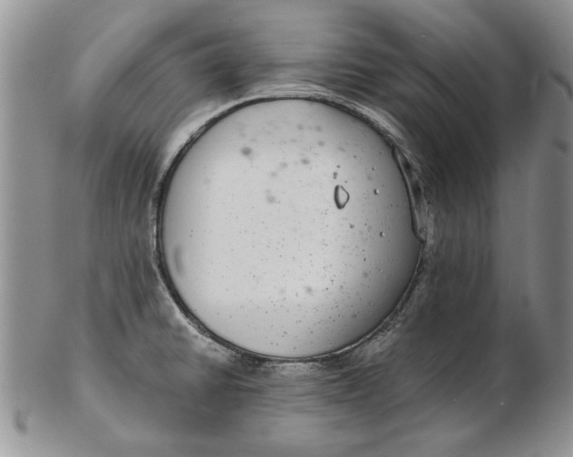 X0000102381430200808221752