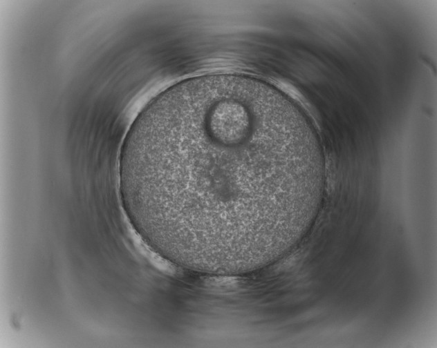 X0000102381431200808221752