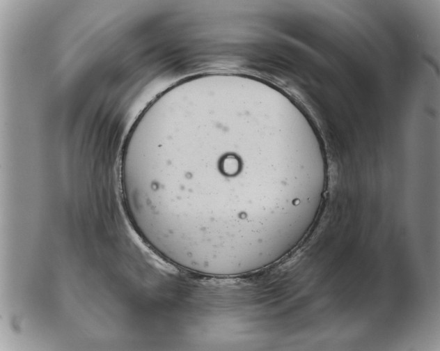 X0000102381432200808221752