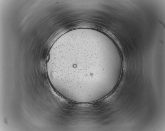 X0000102381433200808221752