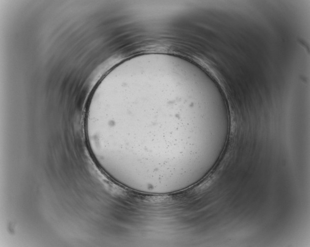 X0000102381434200808221752