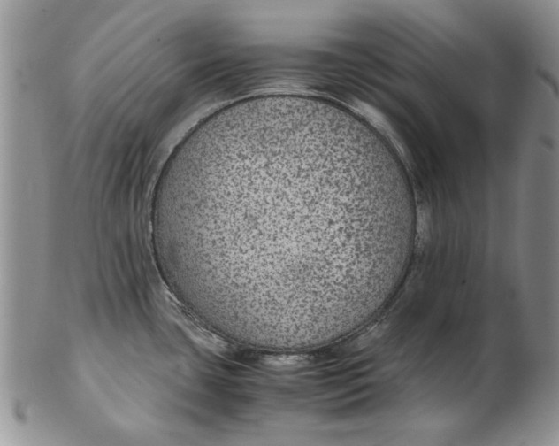 X0000102381435200808221752