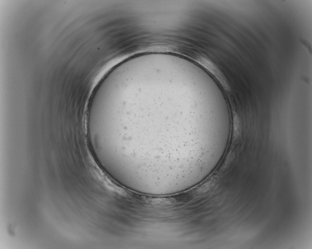 X0000102381436200808221752